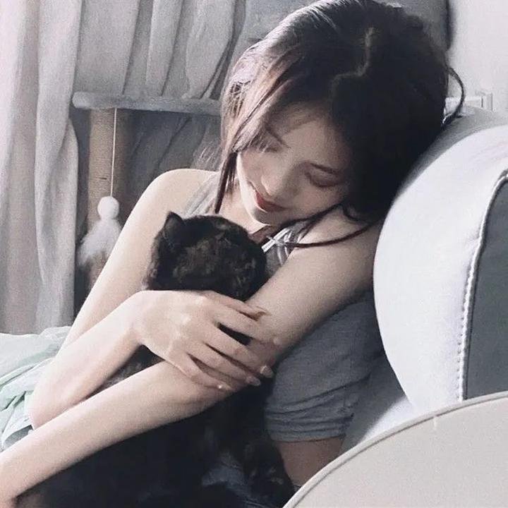 猿与超猿 在线观看