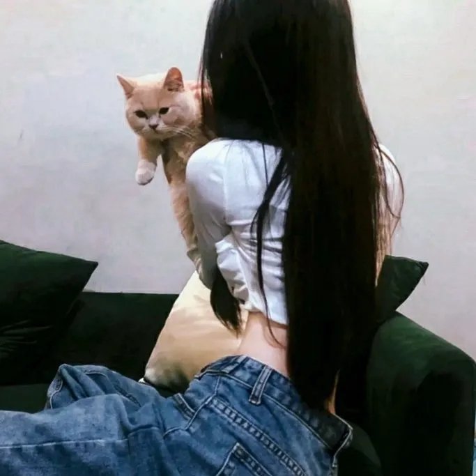 修女有枪 在线观看